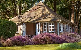 Old Mill Lodge By Huluki Sussex Stays